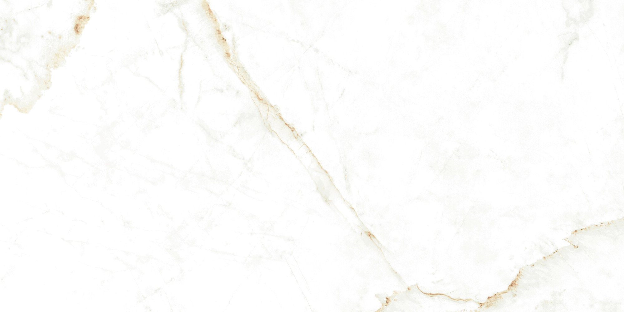 38712 Dual White NT/60X120X0,9/C/R 60x120 Peronda фото 10