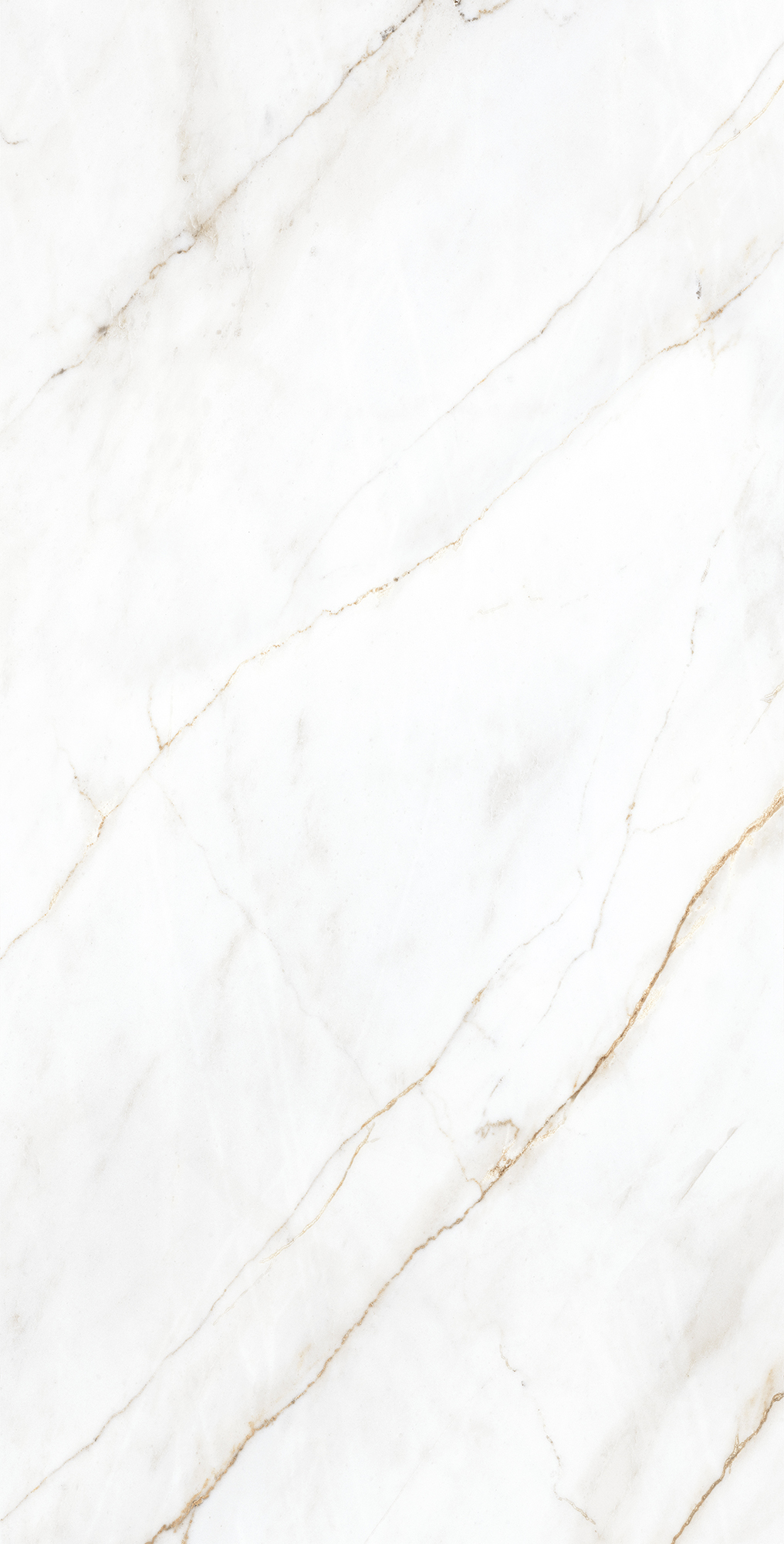 CP4004-A Selva Gold Carving Pro 60x120 Creanza