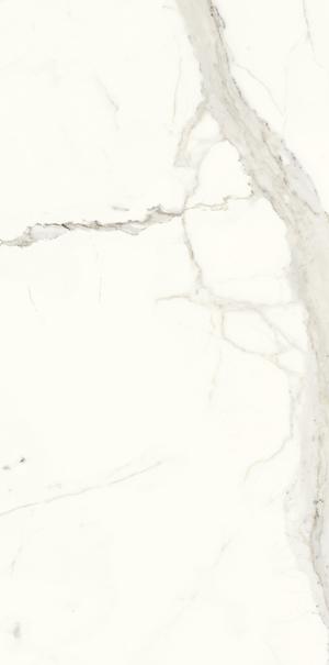 PL612527 Bianco Calacata Luc 120x60 Ariostea