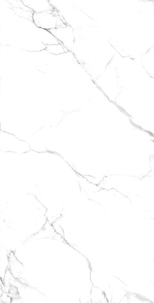 STATUARIO GRIS Glossy 60x120 One Touch