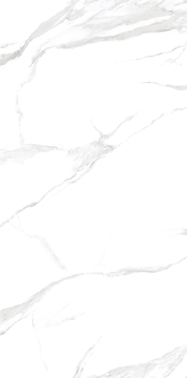 NTT3009M Statuario Mat 120x240 NT Ceramic