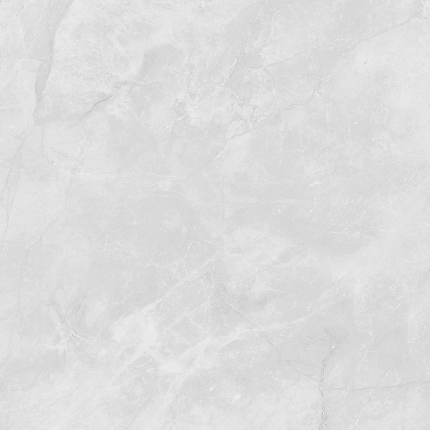 LP6060G0241R Berna Silver светло-серый матовый 59,5х59,5 Laparet