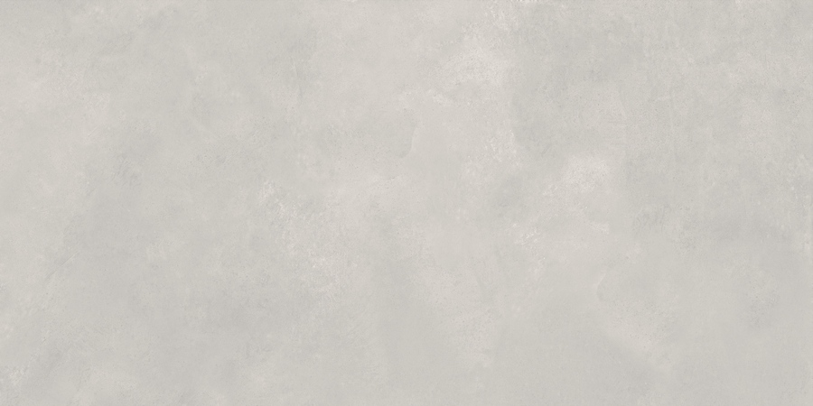 N20478 Newport Gris Matt 60x120 Neodom