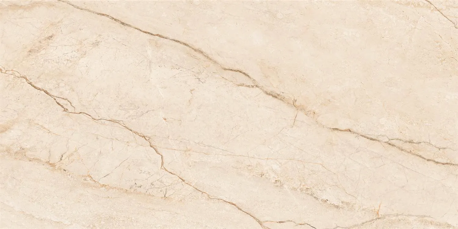 NTTHS99956D Barcelona Beige 60x120 NT Ceramic фото 6