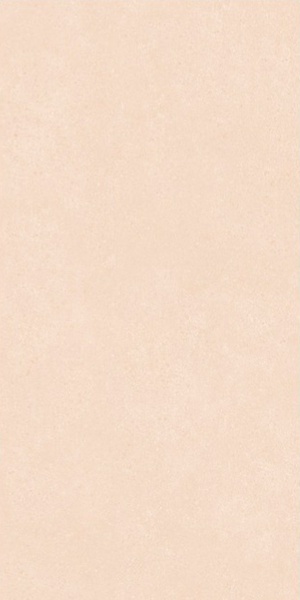 Selina Crema matt 60x120 Leopard фото 3