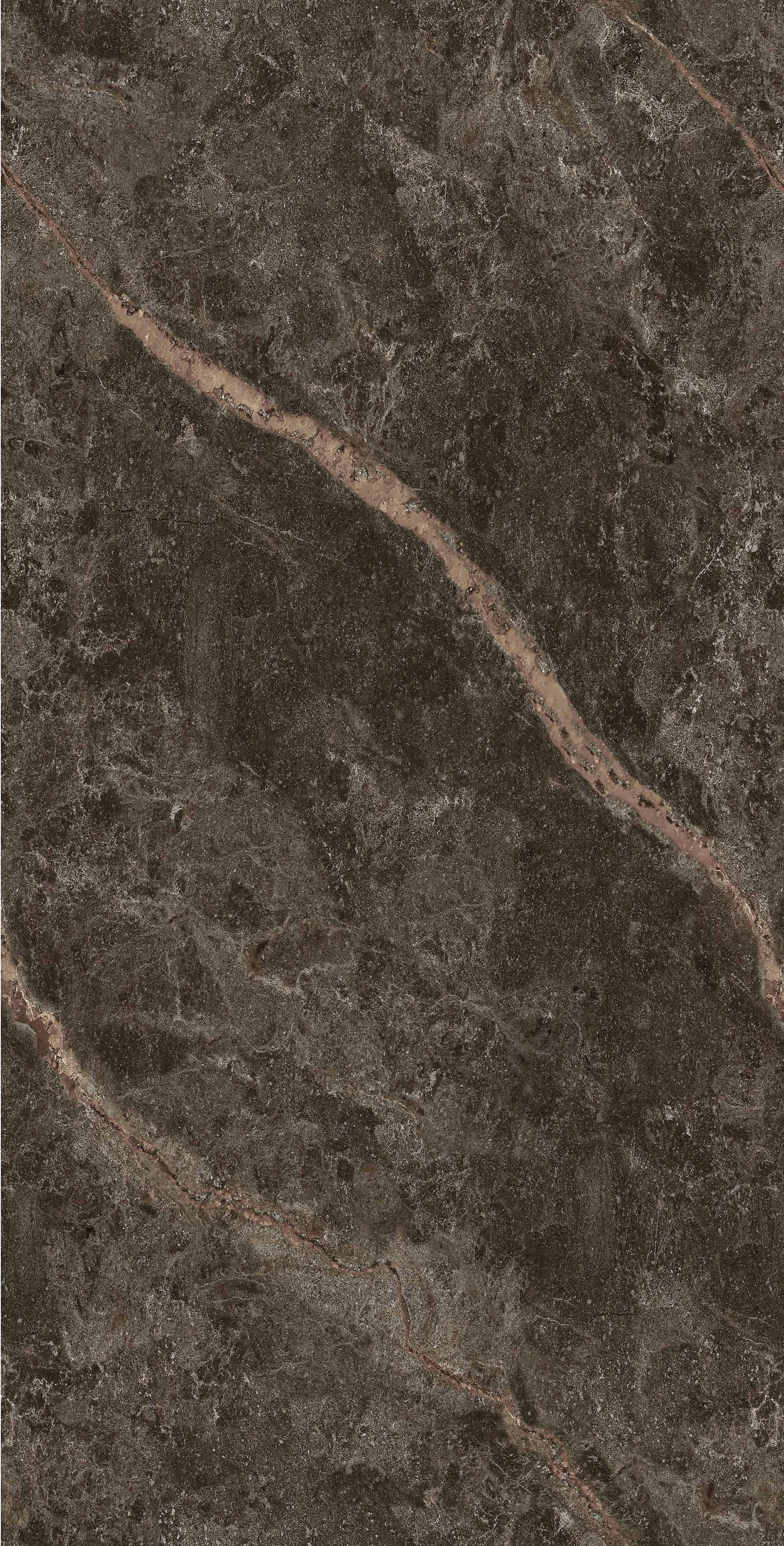 Hanoi Polished Golden Carving 60x120 Realistik фото 5