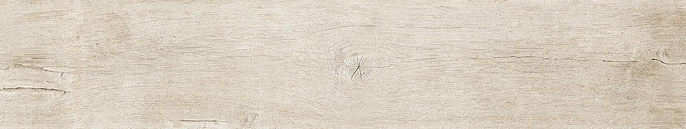 189003 Quercus Betulla 22x120 Dune