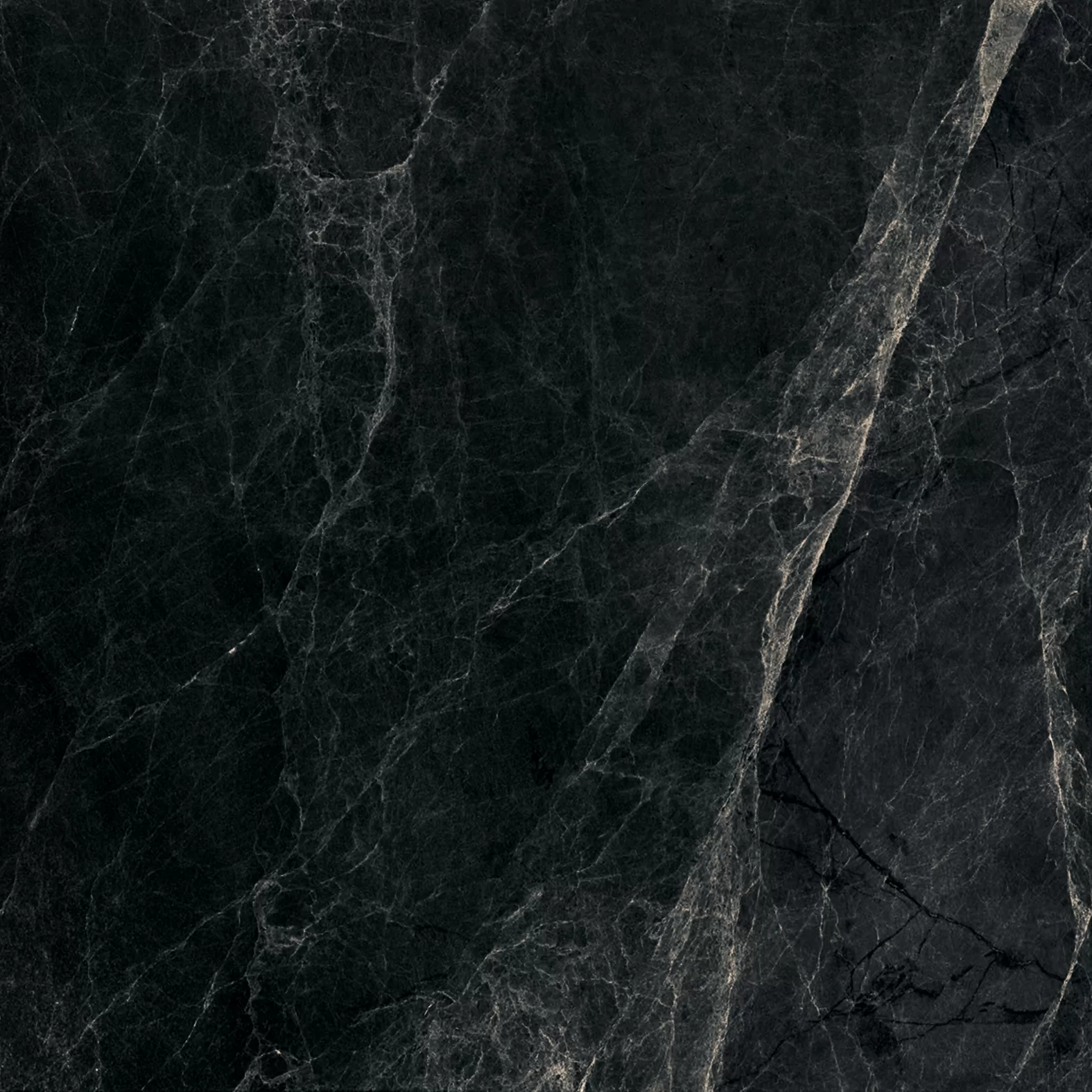 Worner Black sugar lapp. 60x60 Bluezone фото 5