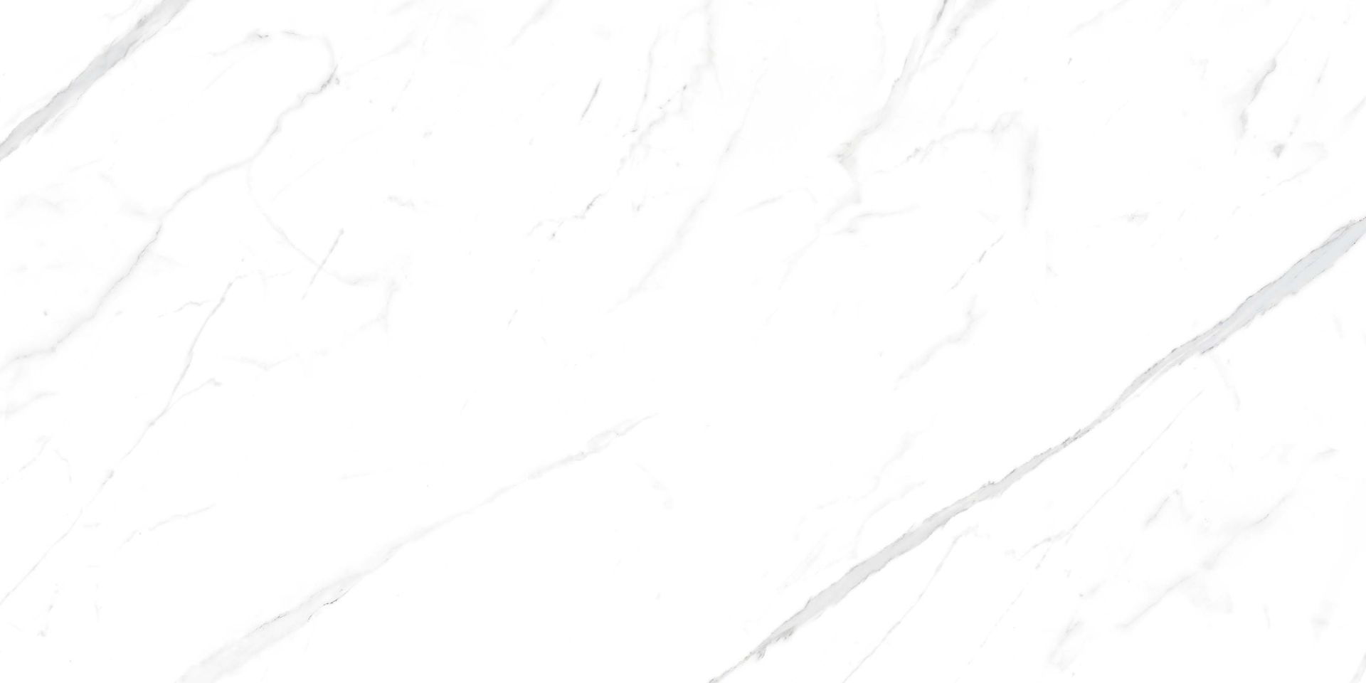 Statuario White 60х120 ZERDE TILE фото 5