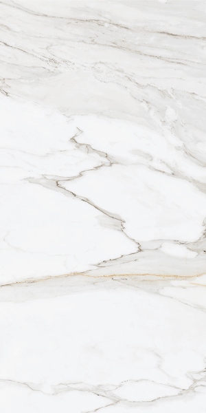 Gold Calacatta 60*120 Art Ceramic