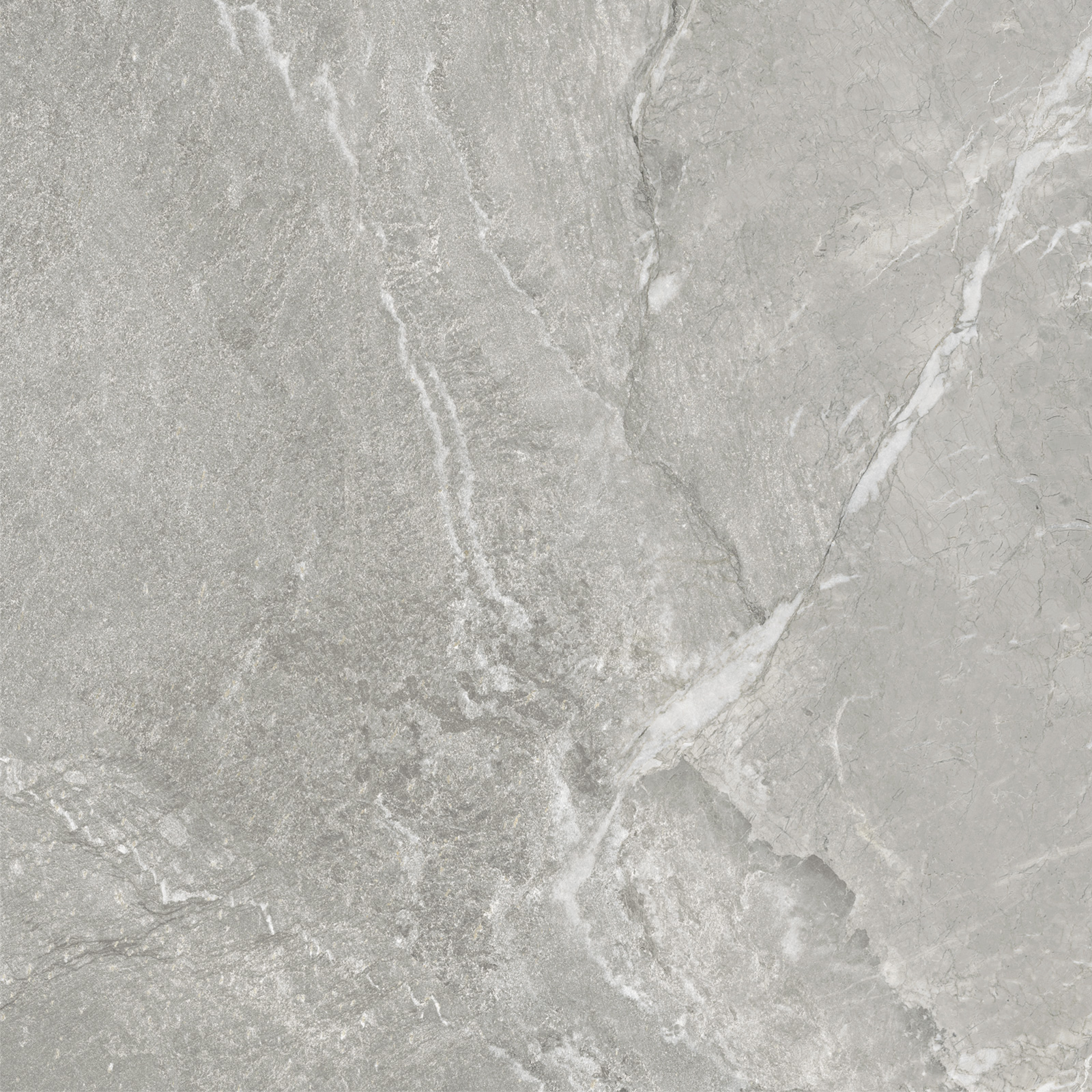 D60259M Wild Light матовый 600x600x9.5 New Trend