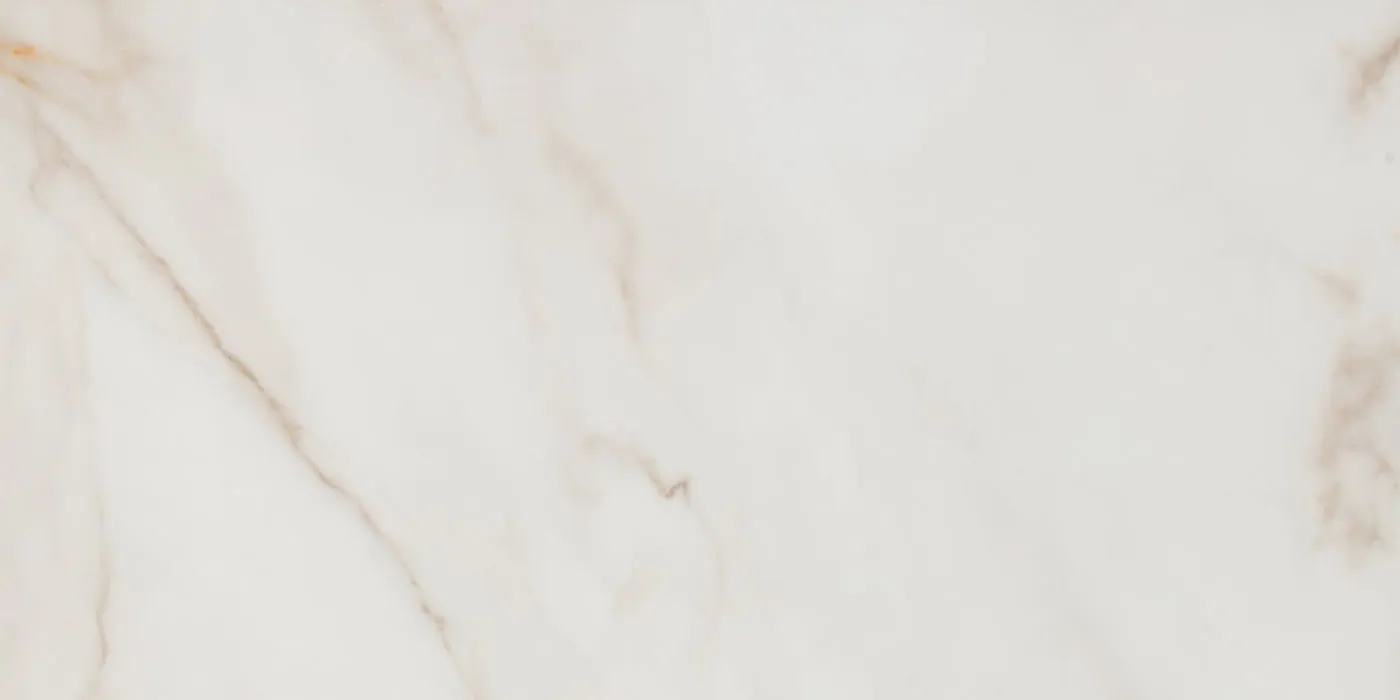 Serenity White Matt Relief 60x120 Seranit фото 2