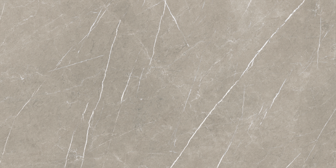 Eternal Taupe Natural 80x160 Baldocer