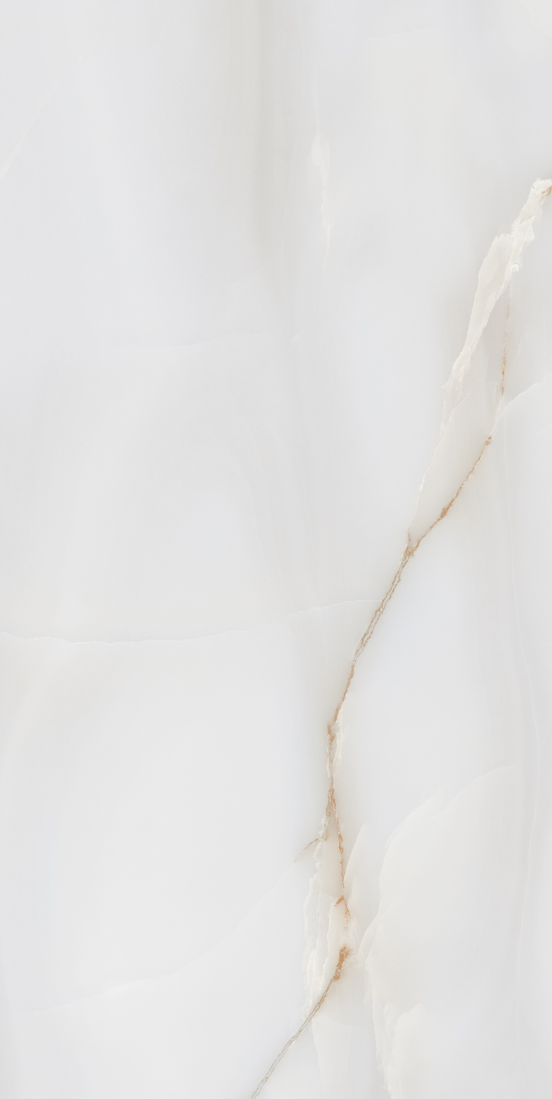Victoria Polished Gold Carving 60x120 Realistik