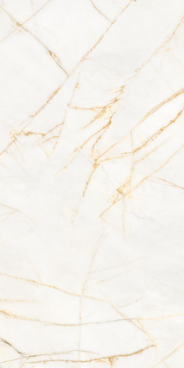 PF60017518 Supreme Hedonism Golden Spider Nat R 60x120 Flaviker
