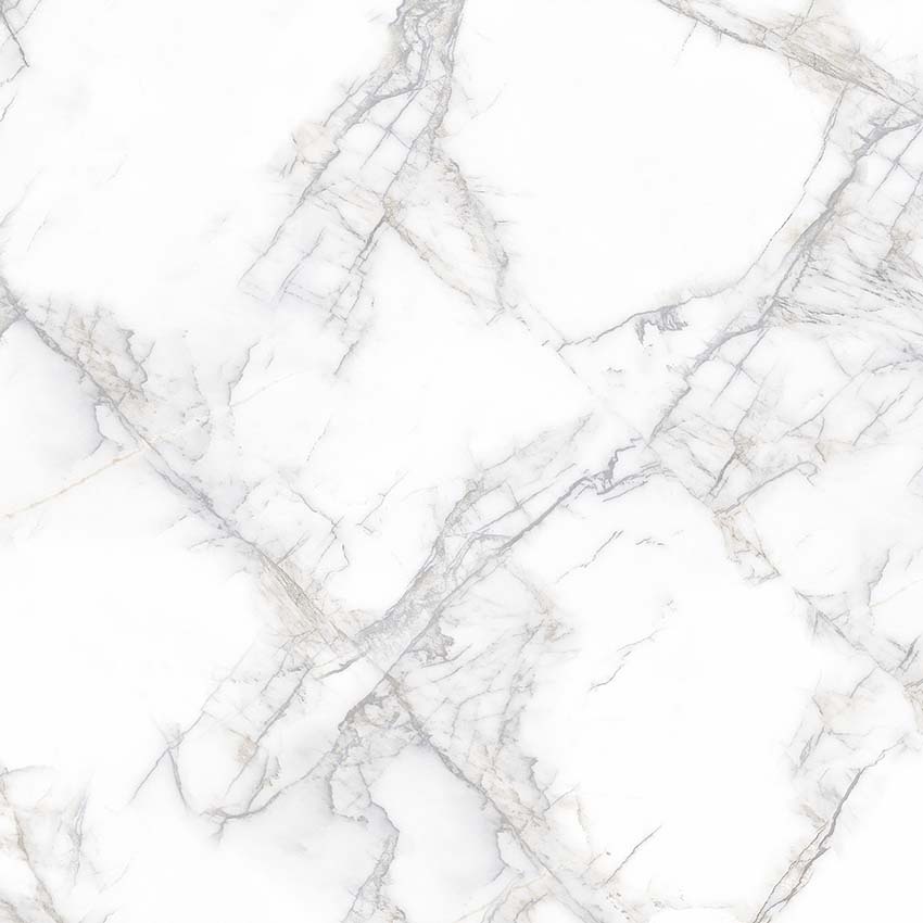 PR114 Arena White Polished 600x600 PrimaVera