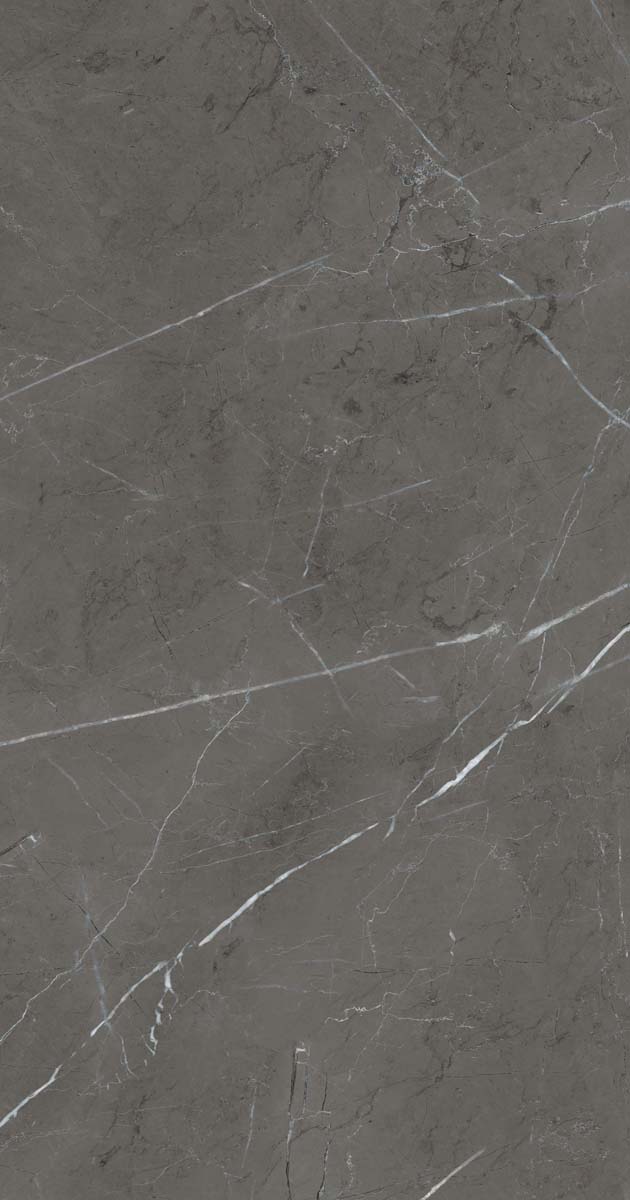 PF60006313 Stone Grey Lux R 60x120 ABK фото 15