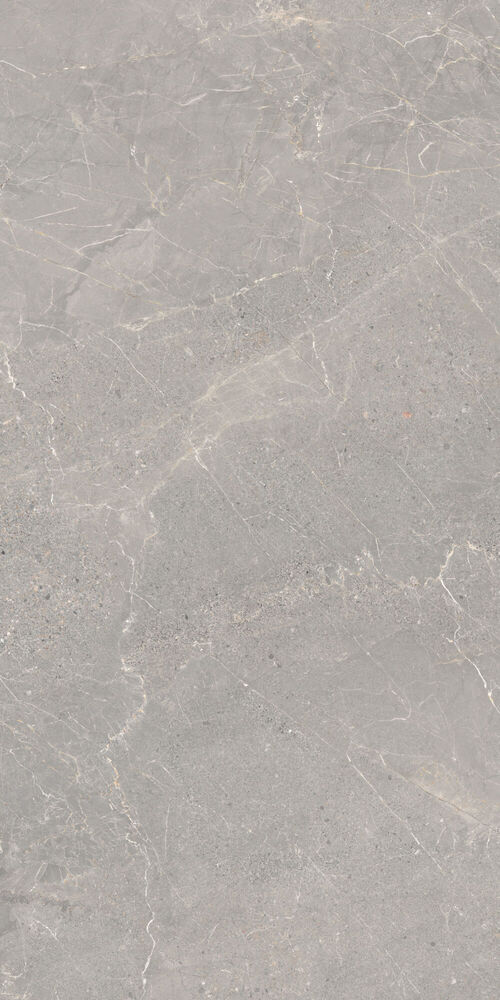37736 Alchemy Iron As/60x120x0,9/C/R 60x120 Peronda
