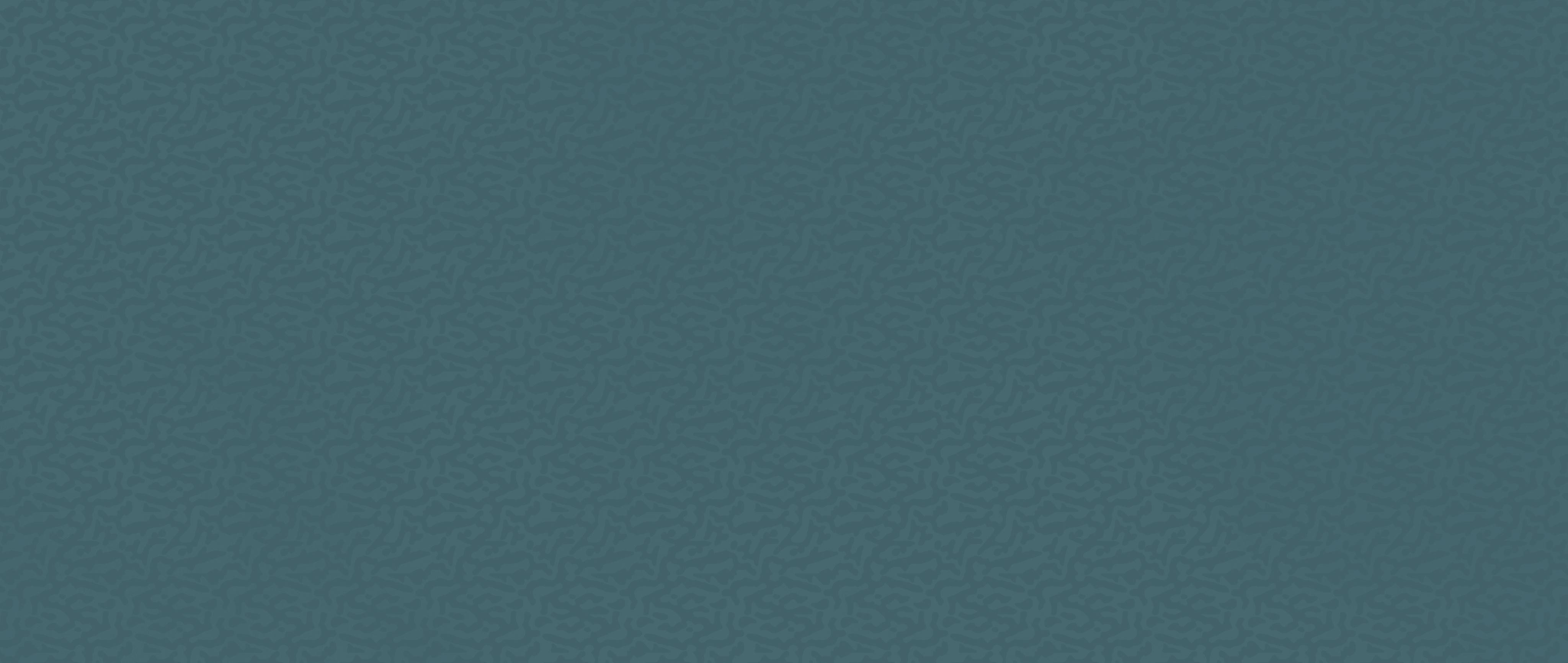 AKN8 Boost Color Navy Frog 50x120 Atlas Concorde