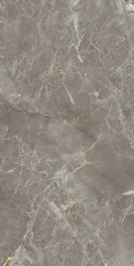 Zanetta Graphite Glossy 60x120 Modern Tile