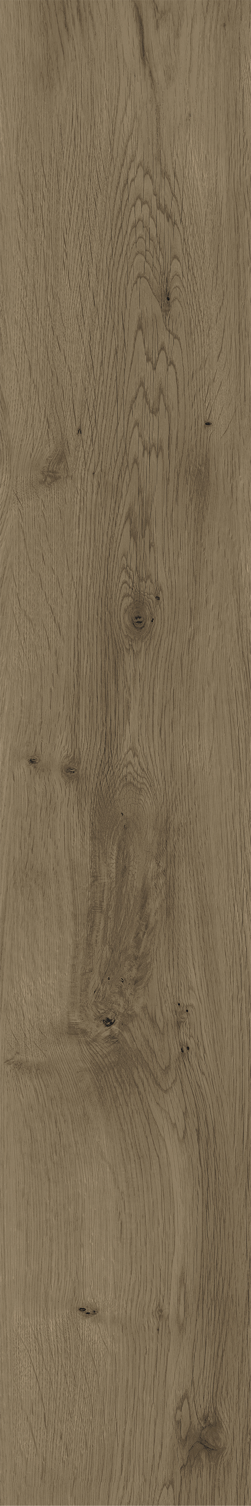 K-2304/SR Dubrava 200x1200x11 Kerranova