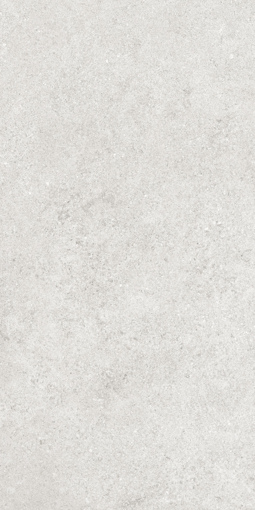 36904 Cluny Silver 4D/50X100X2/A/R 50x100 Peronda фото 18