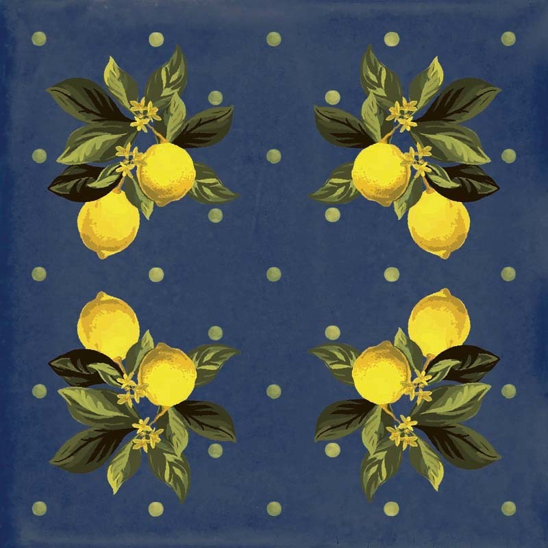 Giardino Blu Mix Luc 20x20 Sant Agostino