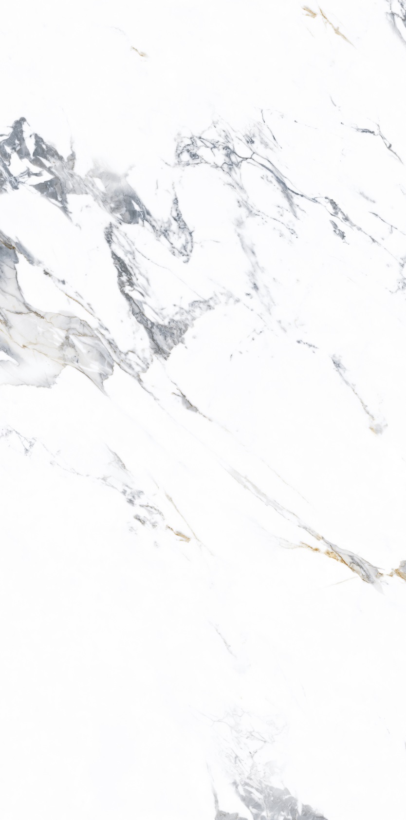NTT3003P Arabescato 120x240 NT Ceramic