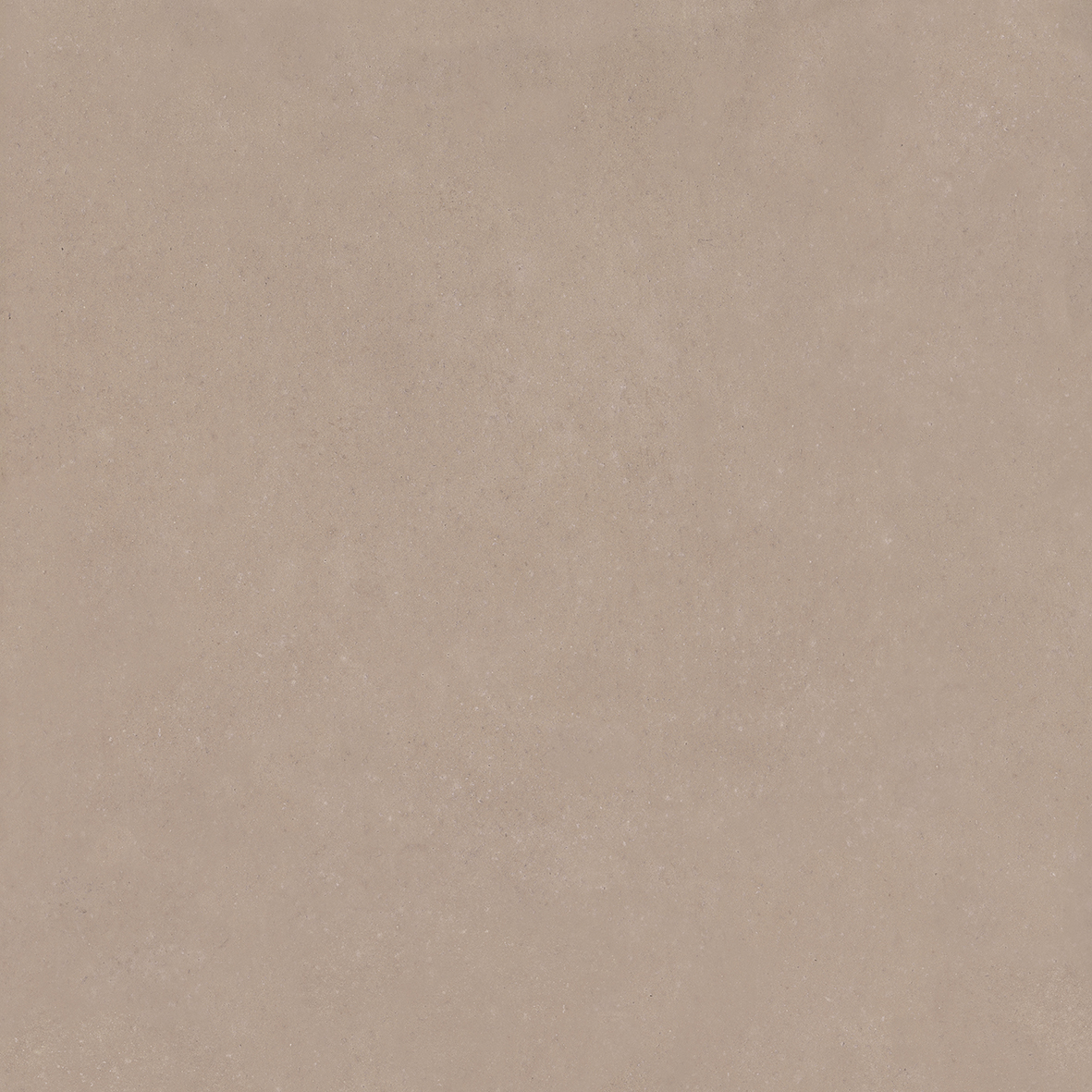 4101182 Nok Taupe 120x120 41ZERO42