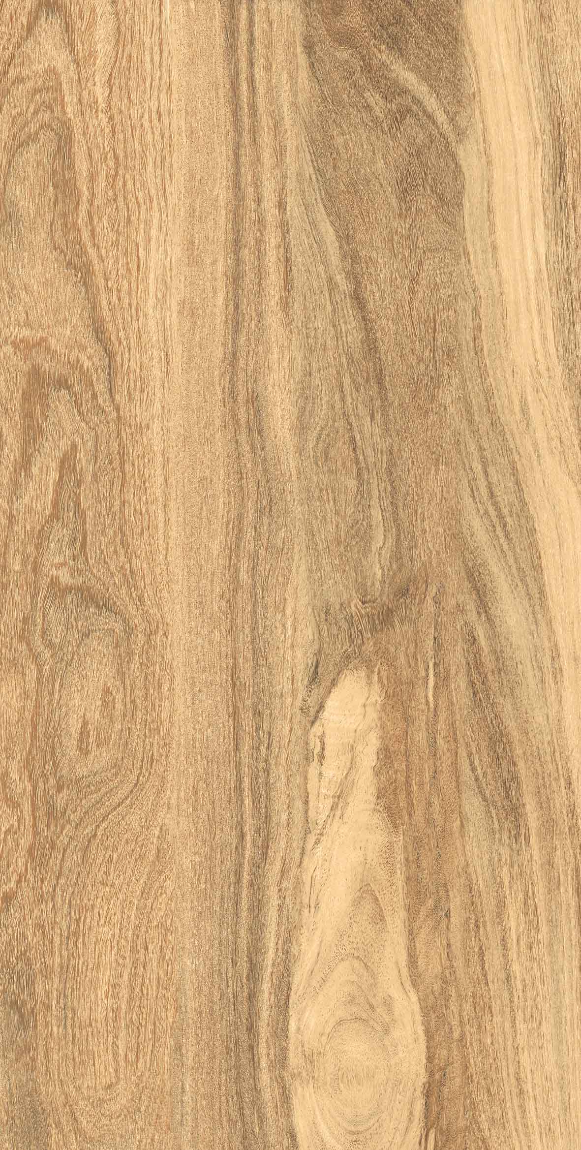 Taiga Light Matt Carving 60х120 Gresant