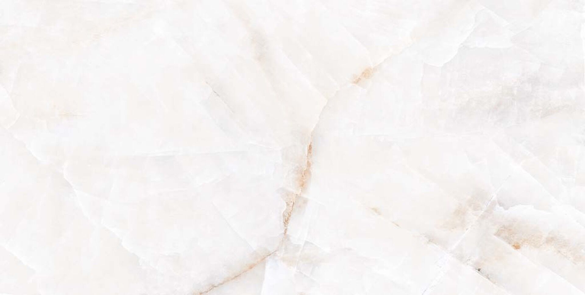 Birch Onyx Polished 60x120 DO&PO