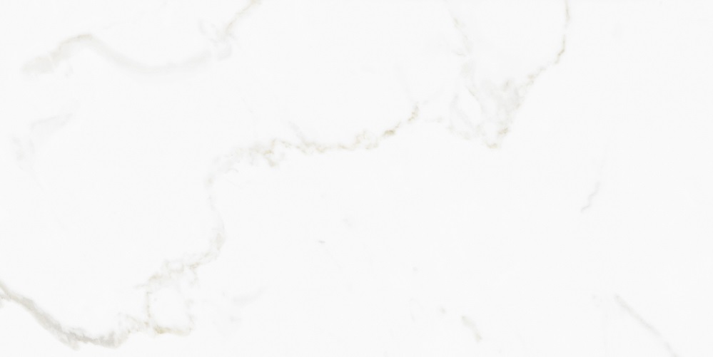 M4408P Omega Exotica Glossy 60x120 Buono Ceramica
