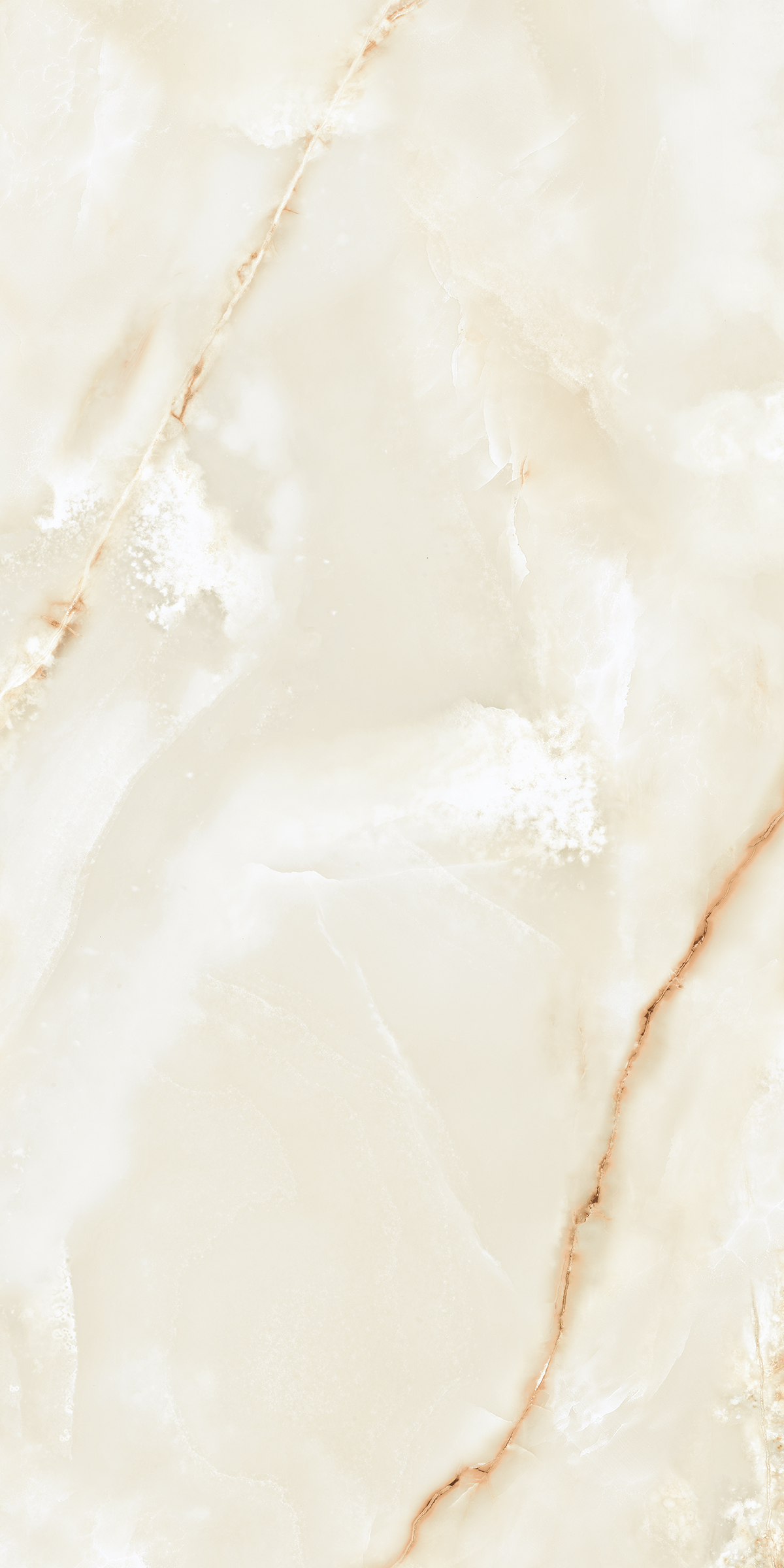 904 Persian Beige 120x60 Artcer