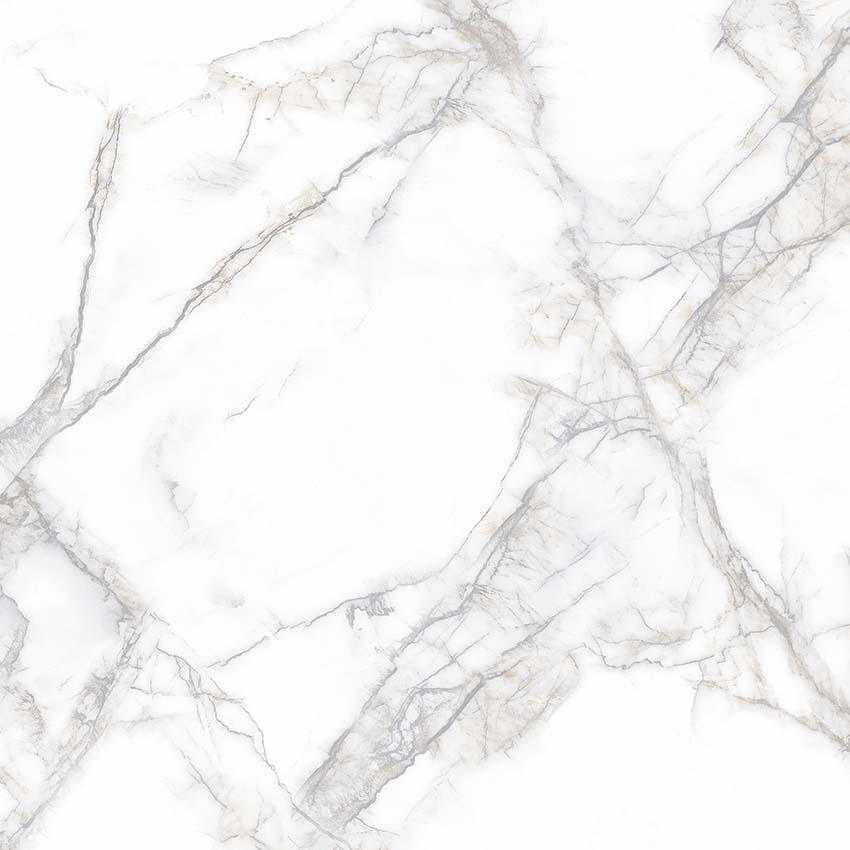 PR114 Arena White Polished 600x600 PrimaVera