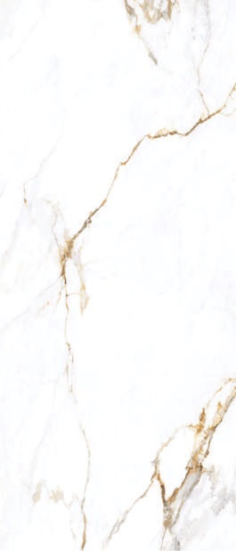 Apollo White Polish 120х280 Maimoon Ceramica