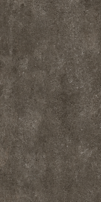 768585 Sensi Brown Fossil Nat Ret 6mm 120x240 Casa Dolce Casa