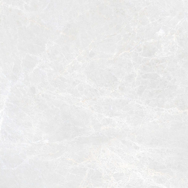 ГР311 Синара Элегантный матовый 600x600x9 Гранитея фото 6