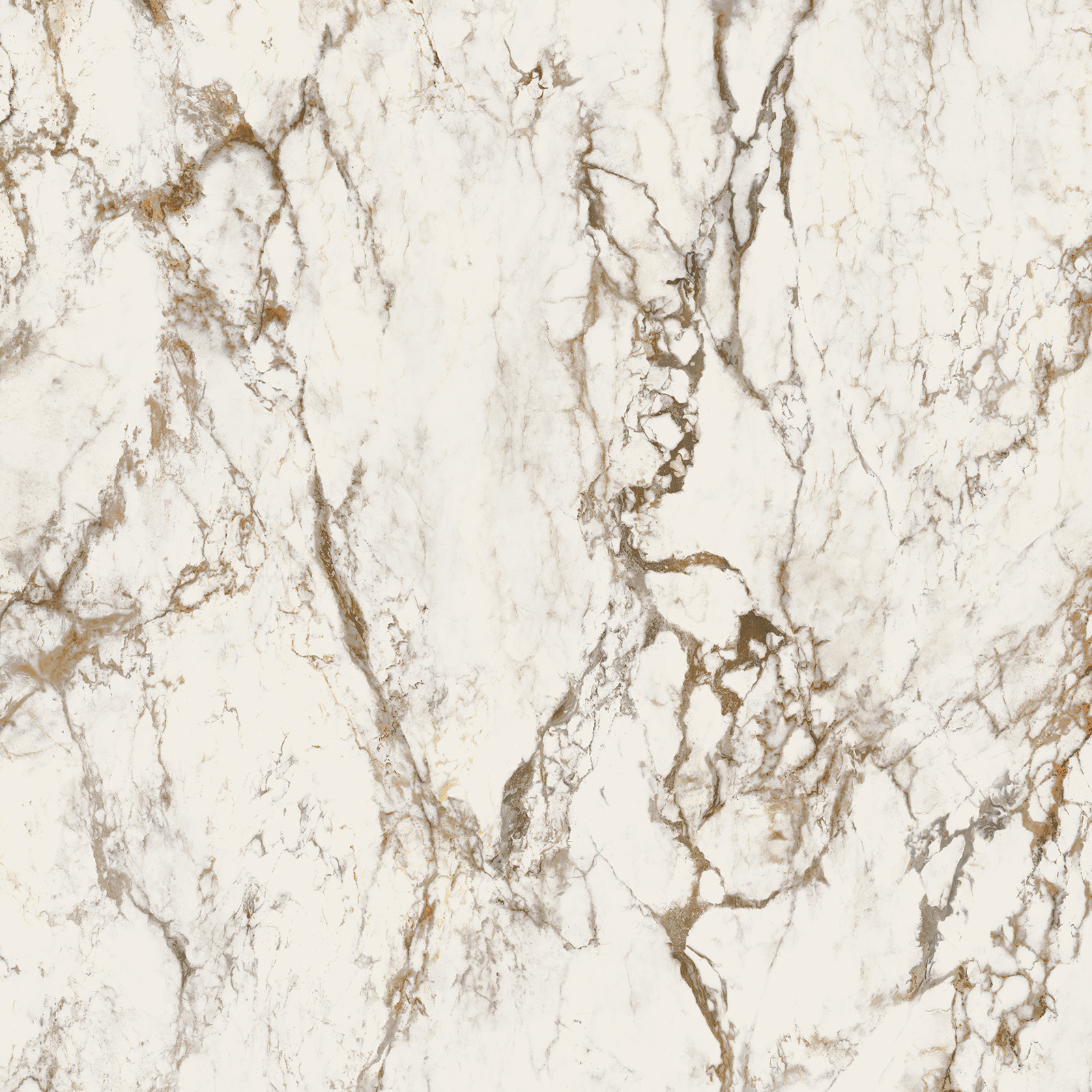 EB1C Breccia Tortona Lappato RT 120x120 Keope