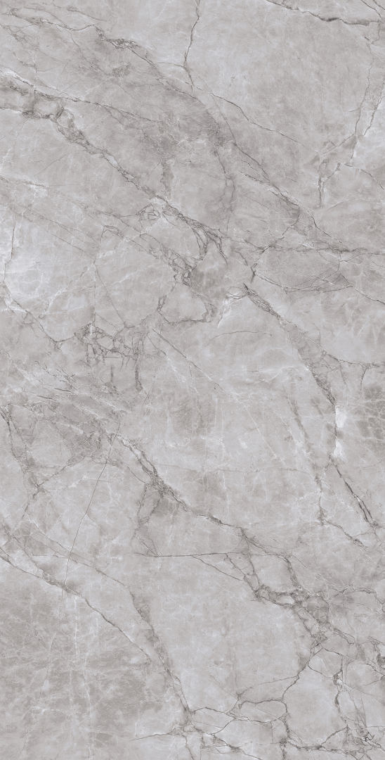 CR4012-A Arctic Grey Carving 60x120 Arcadia Ceramica