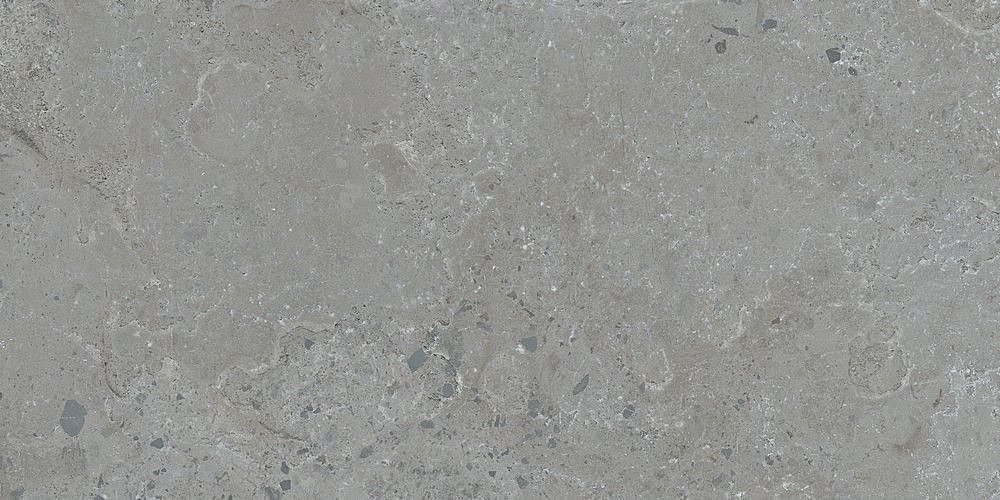 188999 Pietra Viva Grey 60x120 Dune