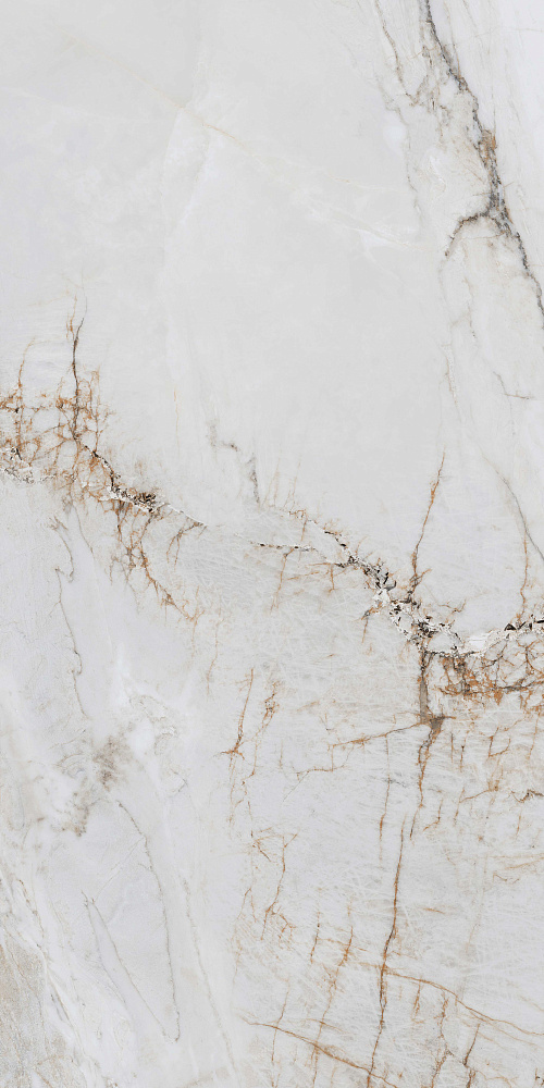 BHW-0048 Gemstone full body polished (gold) 60x120 Basconi Home