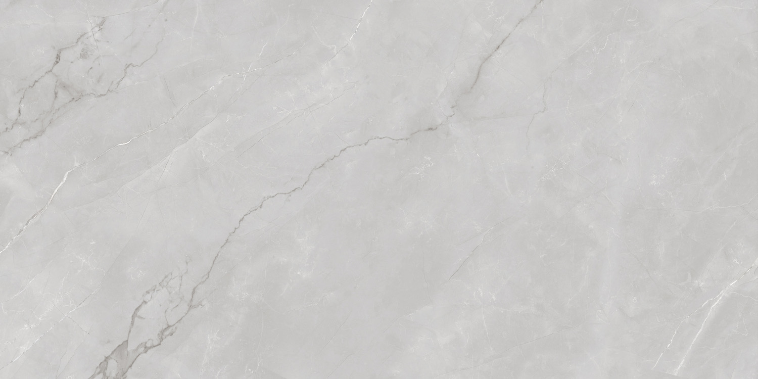 Astonia Silver Glossy Silver Line 60x120 Infinity Ceramica