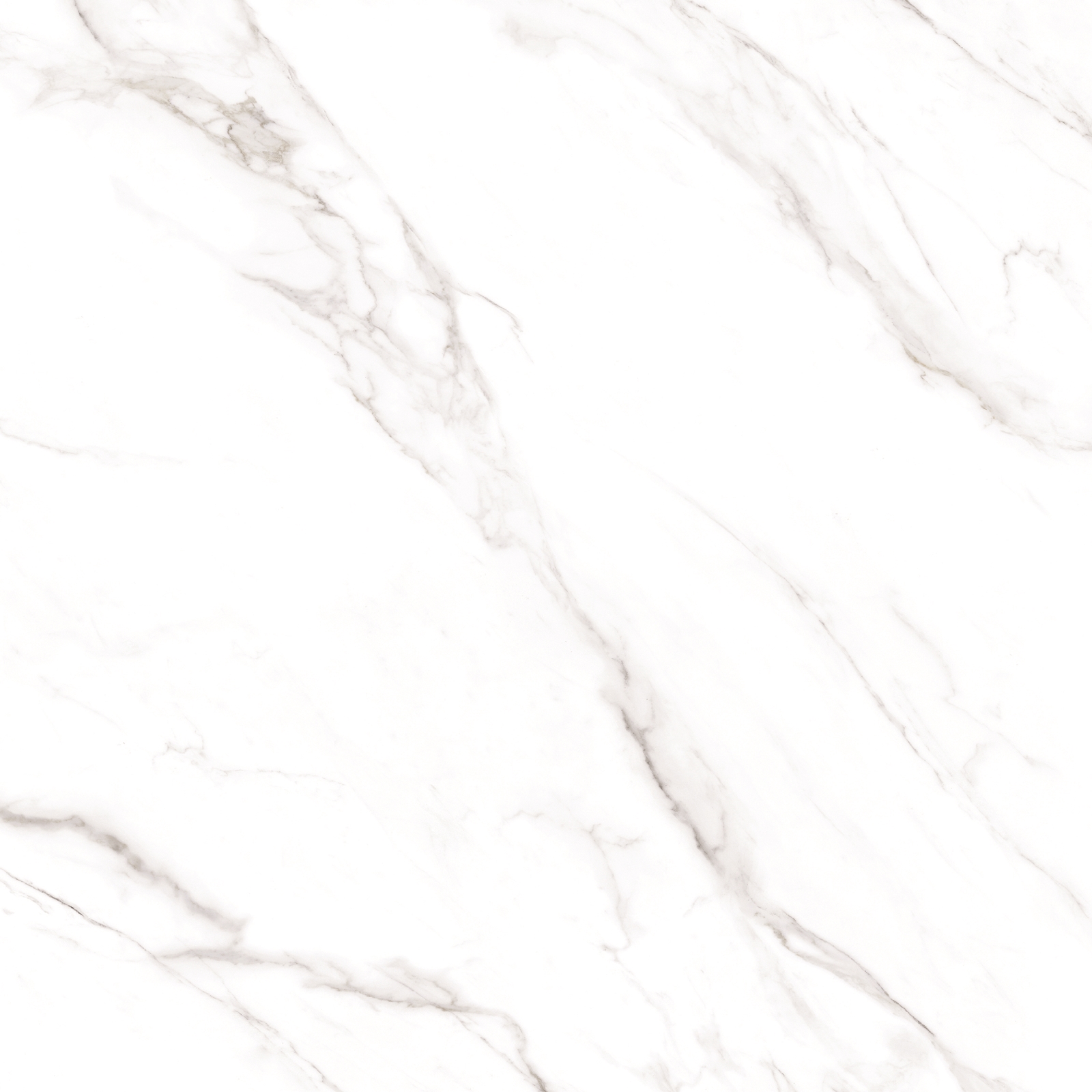 Statuario Alaska Glossy 80x80 Maimoon Ceramica