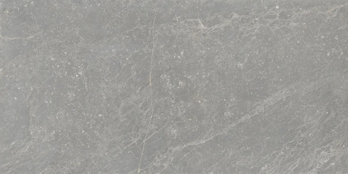 Bleuemix Grey Soft 60x120 Keraben