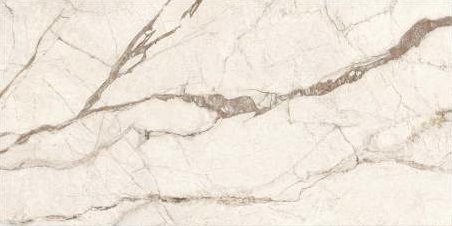 K958001R0001VTER SilverRoot Слоновая Кость Матовый R10A Ректификат 60x120 Vitra