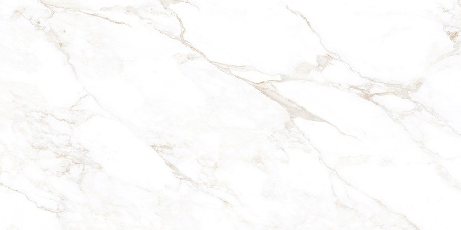 NTT99526M Marble Extra Endless 60x120 NT Ceramic