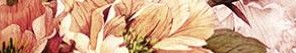Бордюр Peony 4х25 Laparet