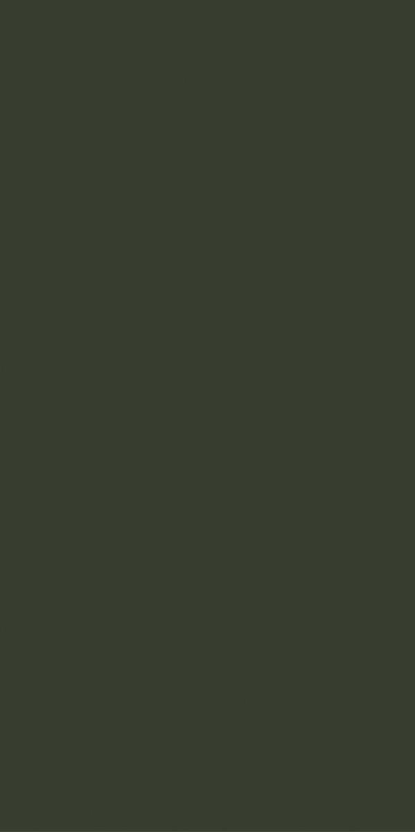 N100153 Монотон Оливе Матовый 60x120 Motto