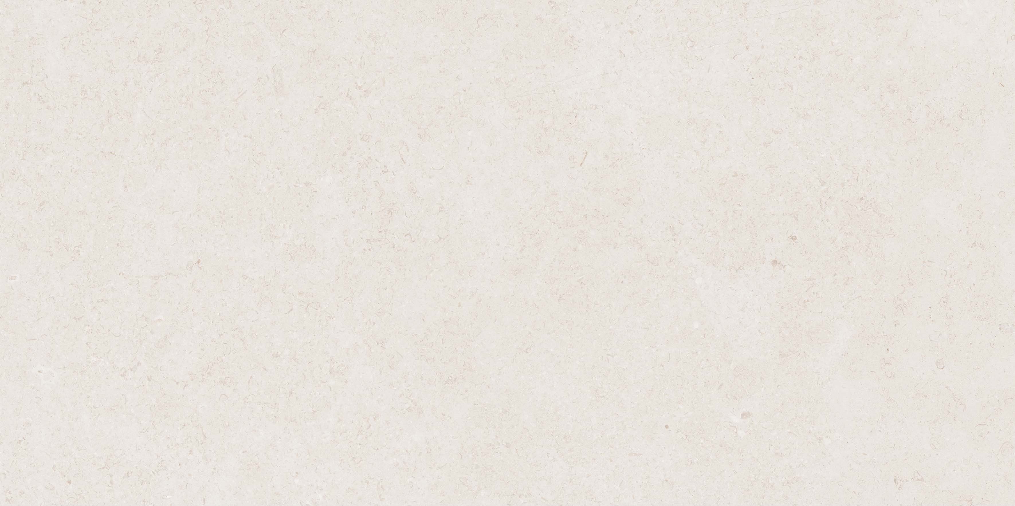 Mistic Light Grey Gloss 60x120 Realistik