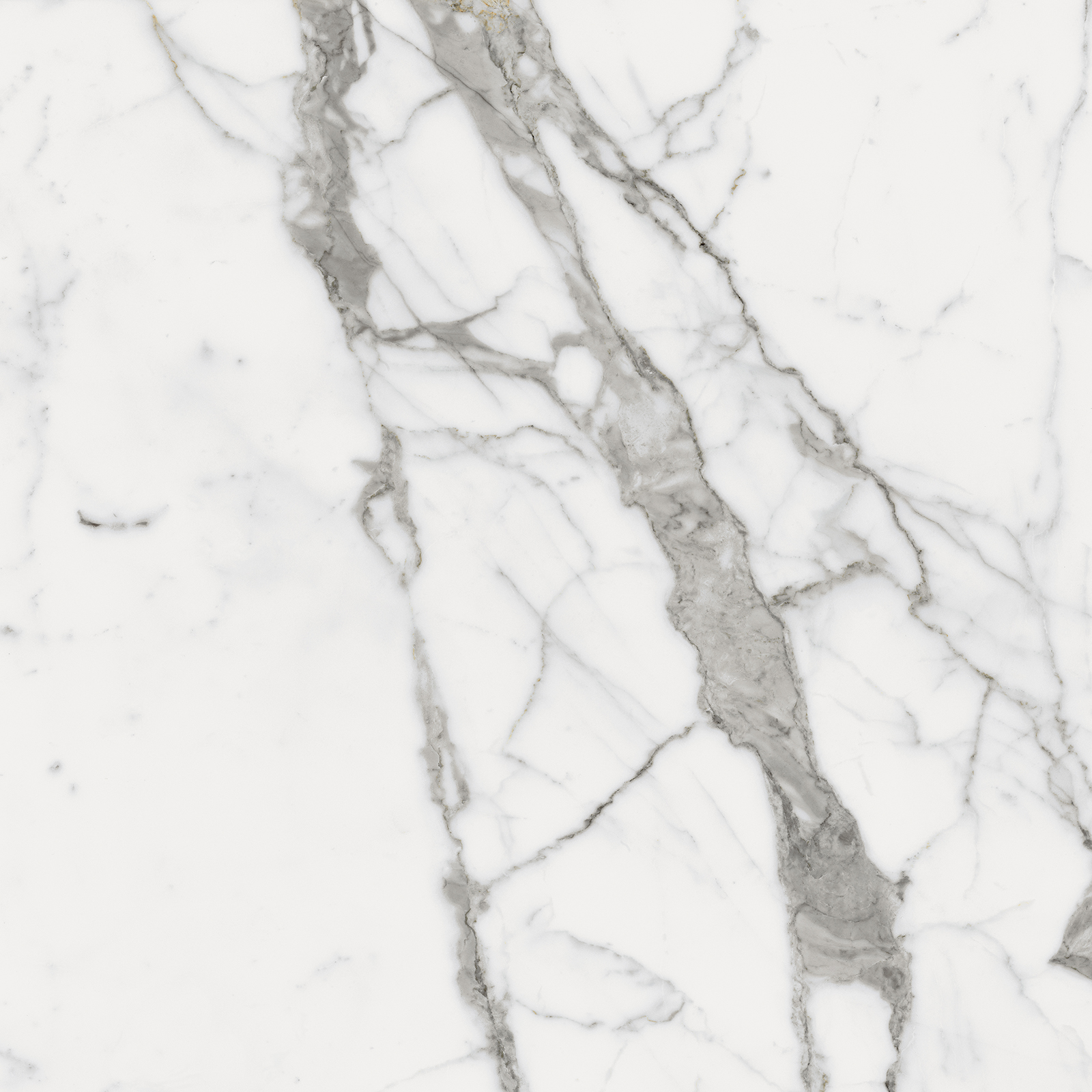 610010001678 Charme Evo Statuario Nat Ret 80x80 Italon